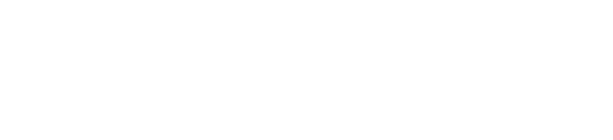 Albany County Early Development Coalition